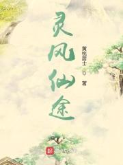 灵风仙途封面