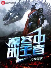 凛冬中的王者封面