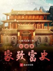 红楼发家致富史封面