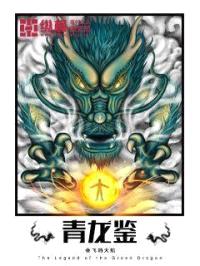 青龙鉴封面