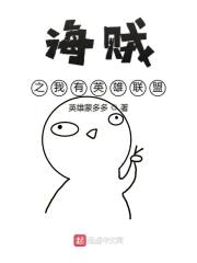 海贼之我有英雄联盟封面