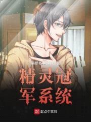 精灵冠军系统封面