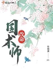 改命国术师封面