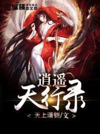 逍遥天行录封面