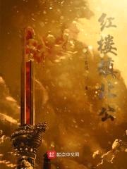 红楼镇北公封面