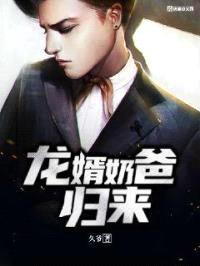 龙婿奶爸归来封面