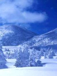 不死者之王之第42至尊封面