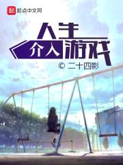 人生介入游戏封面