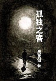孤独之客封面