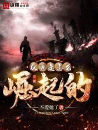 反派是怎么崛起的封面