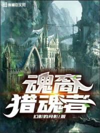 魂裔猎魂者封面