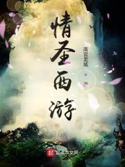 情圣西游封面