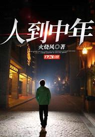 人到中年封面