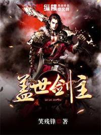 盖世剑主封面