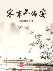 宋末不偏安封面