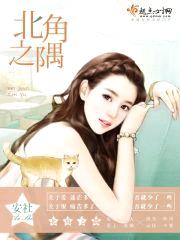 北角之隅封面