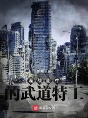 谍战剧中的武道特工封面