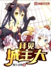 拜见城主大人封面