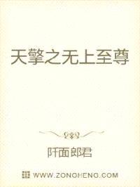 天擎之无上至尊封面