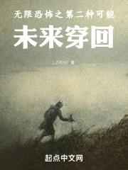 无限轮回之第二种可能封面
