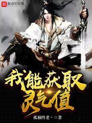 我能获取灵气值封面