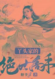 丫头家的绝世高手封面