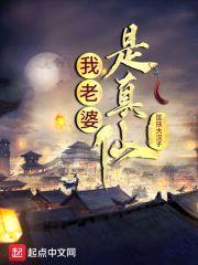 我老婆是真仙封面