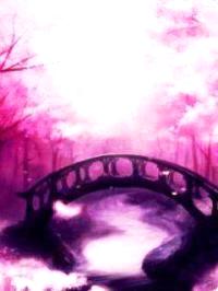 红楼之怼人不如忽悠封面