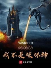 我说了我不是破坏神封面