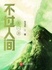 不过人间浪一浪封面