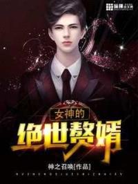 女神的绝世赘婿封面