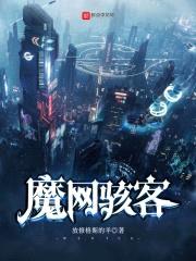 魔网骇客封面