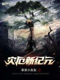 灾厄新纪元封面