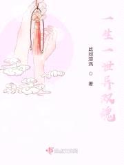 一生一世异双魂封面