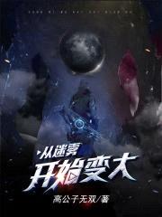 从迷雾开始变大封面