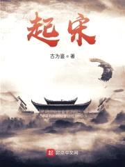 起宋封面
