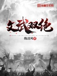 文武双绝封面