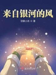 来自银河的风封面
