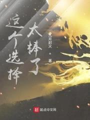 这个选择太棒了封面