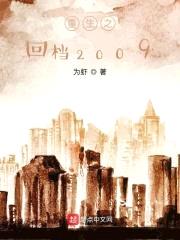 重生之回档2009封面