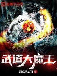 武道大魔王封面