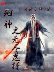 死神之无尽选择封面