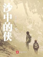 沙中的侠封面