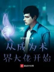 从成为术界大佬开始封面