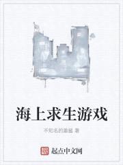 海上求生游戏封面