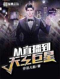 从直播到天王巨星封面