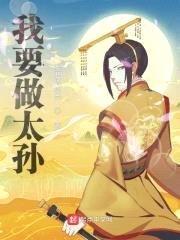 我要做太孙封面