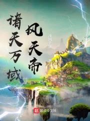 诸天万域风天帝封面