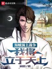 海贼顶上战争：我将立于天上封面