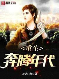 重生奔腾年代封面